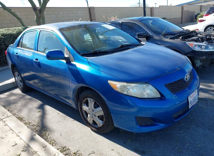 2010 TOYOTA COROLLA LE photo