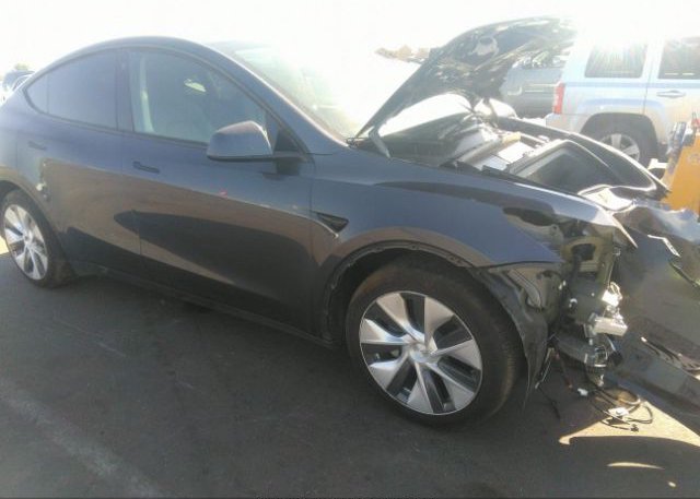 2023 TESLA MODEL Y (VIN: 7SAYGAEE7PF584209)