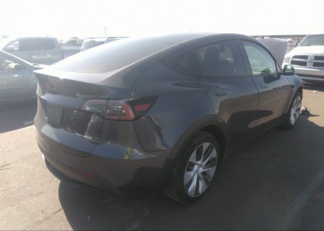 2023 TESLA MODEL Y(VIN: 7SAYGAEE7PF584209