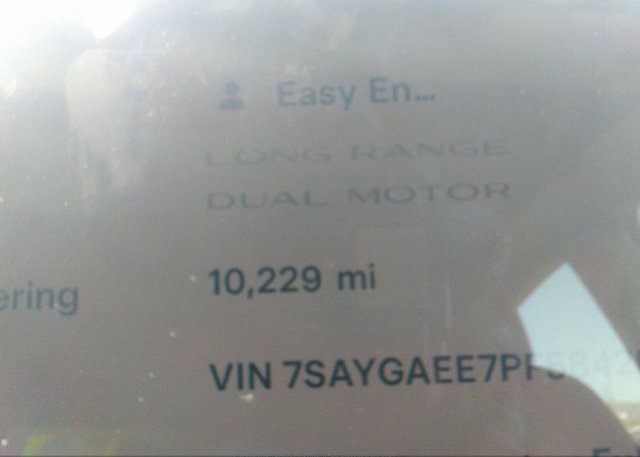 2023 TESLA MODEL Y(VIN: 7SAYGAEE7PF584209