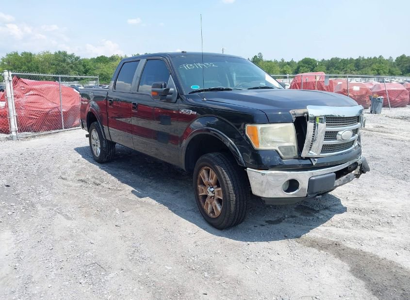 2009 FORD F-150 FX4/KING RANCH/LARIAT/PLATINUM/XL/XLT photo