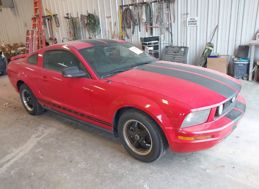 2005 FORD MUSTANG V6 DELUXE/V6 PREMIUM photo
