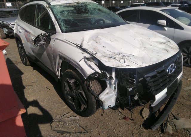2023 HYUNDAI TUCSON (VIN: 5NMJFCAEXPH225051)