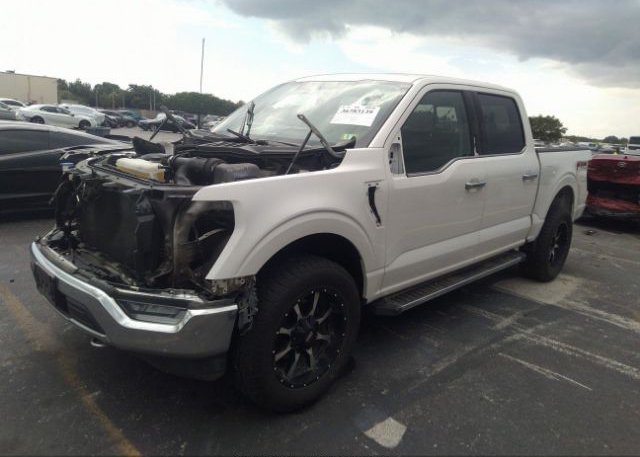 2021 FORD F-150(VIN: 1FTFW1E89MFB98044