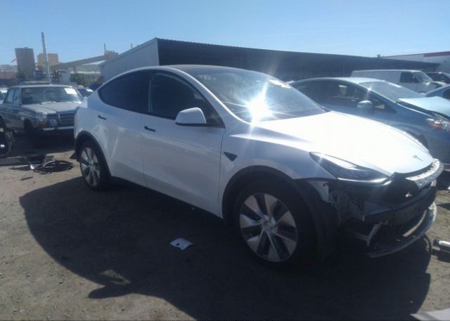 2021 TESLA MODEL Y (VIN: 5YJYGDEE3MF092092)