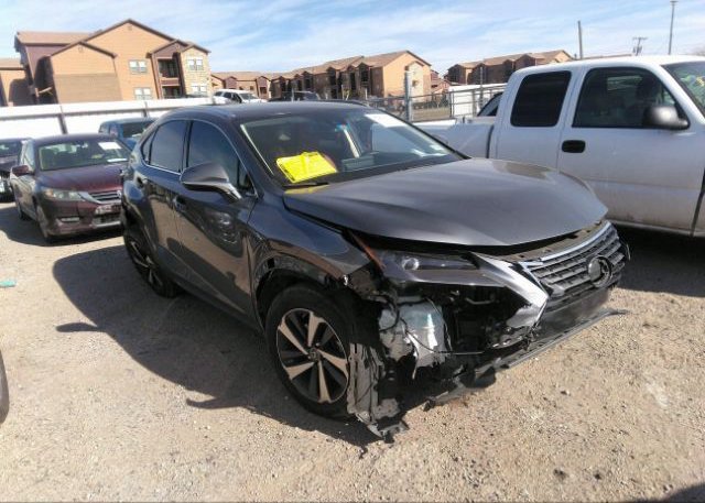 2021 LEXUS NX (VIN: JTJGARDZ3M2237260)