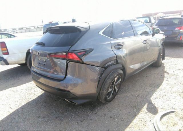 2021 LEXUS NX(VIN: JTJGARDZ3M2237260