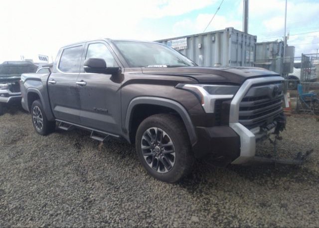 2023 TOYOTA TUNDRA 4WD (VIN: 5TFJC5DB2PX015783)