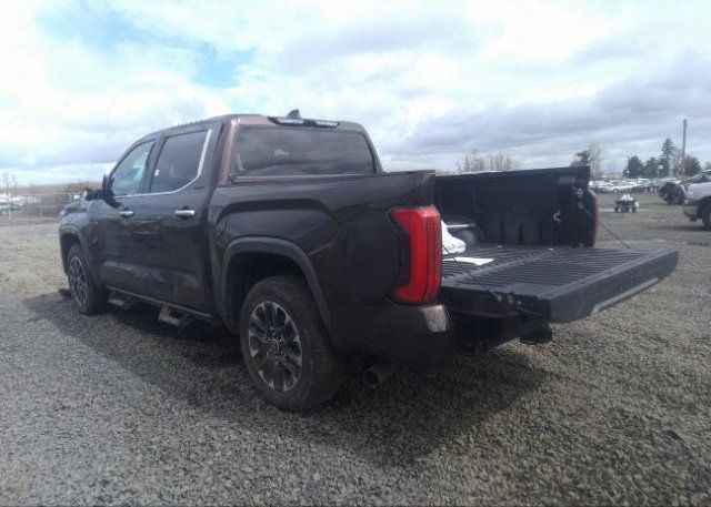 2023 TOYOTA TUNDRA 4WD(VIN: 5TFJC5DB2PX015783