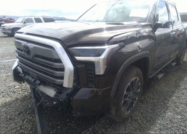 2023 TOYOTA TUNDRA 4WD(VIN: 5TFJC5DB2PX015783