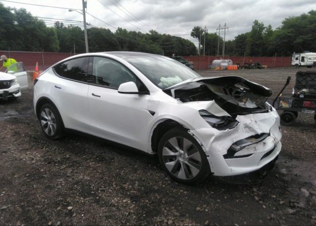 2023 TESLA MODEL Y (VIN: 7SAYGDEE0PF802492)