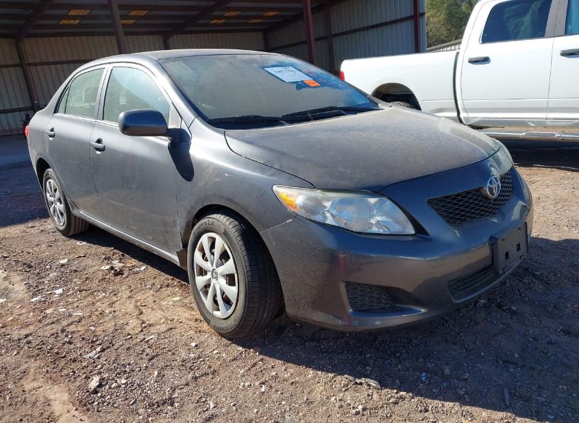 2010 TOYOTA COROLLA LE photo