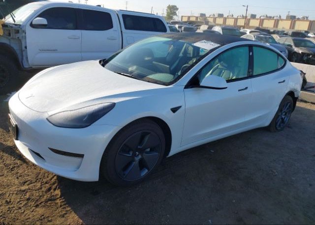 2023 TESLA MODEL 3(VIN: 5YJ3E1EA7PF559420