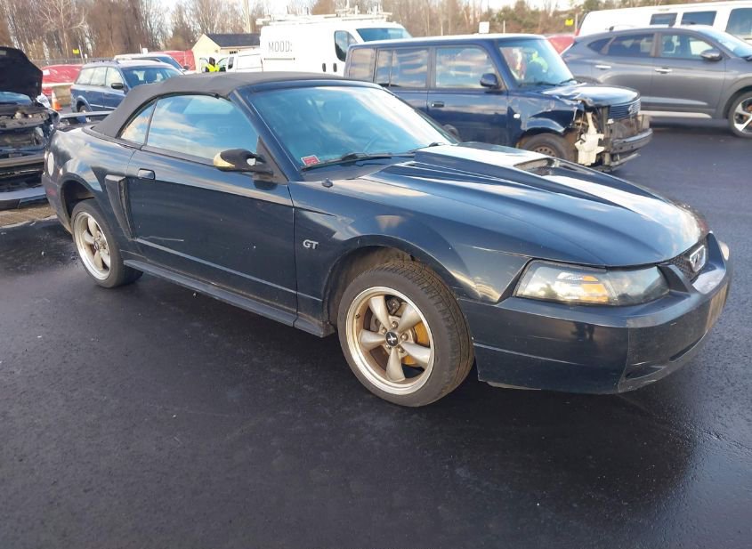 2002 FORD MUSTANG GT photo