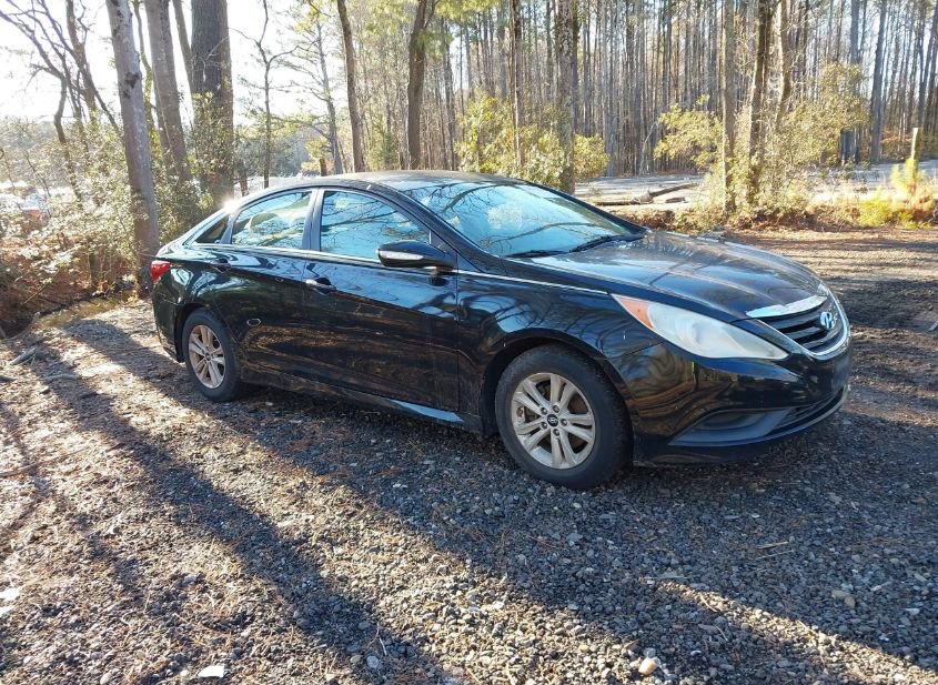 2014 HYUNDAI SONATA GLS photo