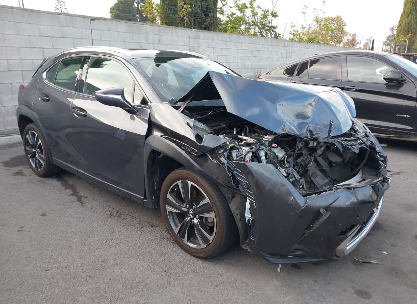 2023 LEXUS UX 250H photo