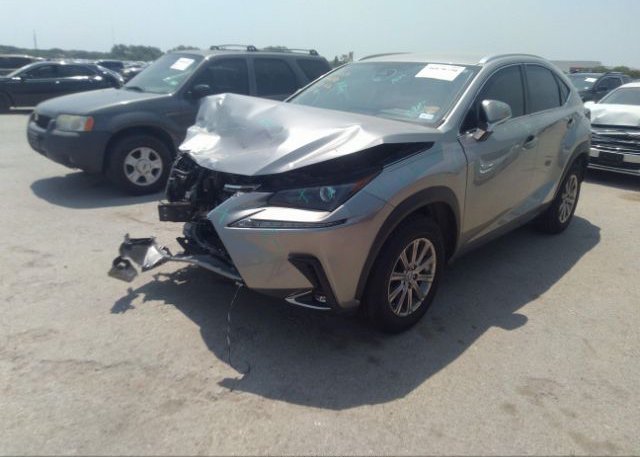 2021 LEXUS NX(VIN: JTJDARBZ3M5035992