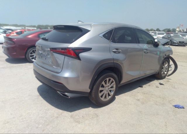 2021 LEXUS NX(VIN: JTJDARBZ3M5035992