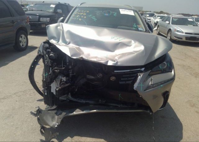 2021 LEXUS NX(VIN: JTJDARBZ3M5035992