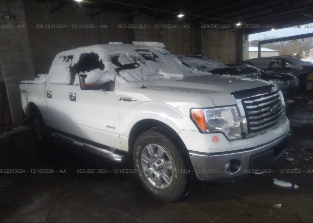 1FTFW1ET0CFA51954 2012 FORD F-150
