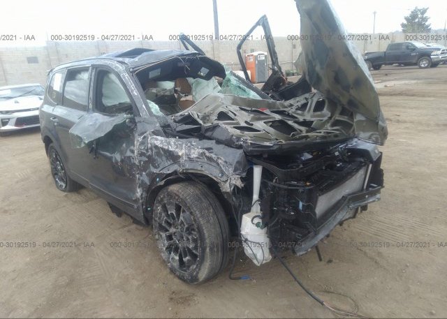 2021 KIA TELLURIDE (VIN: 5XYP5DHC1MG101845)