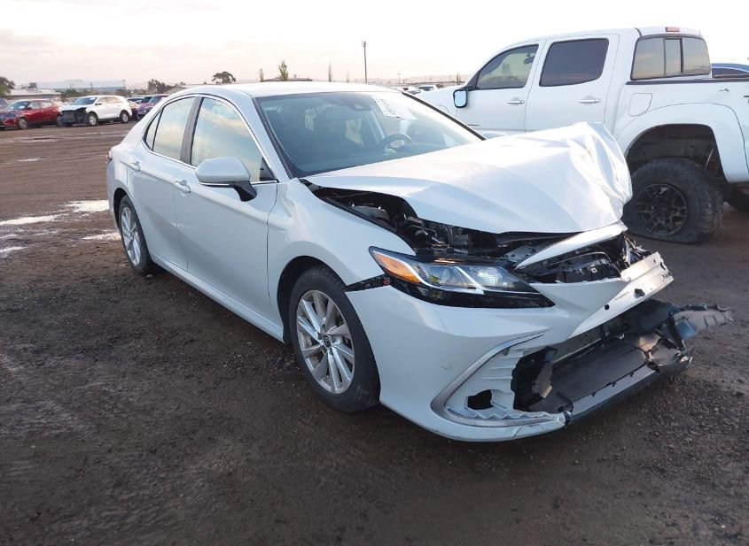 2023 TOYOTA CAMRY LE photo