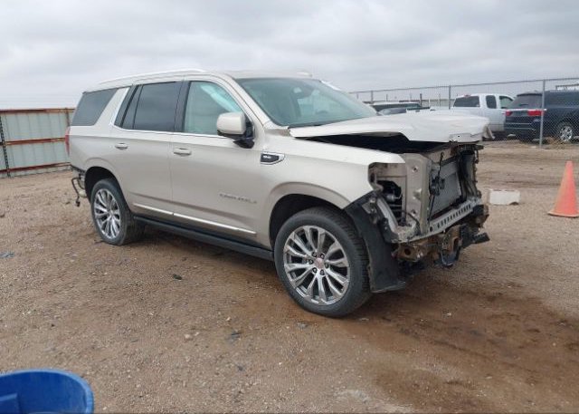 2021 GMC YUKON (VIN: 1GKS2DKL3MR102738)