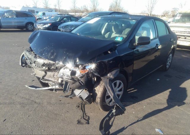 из сша 2013 TOYOTA COROLLA 2T1BU4EE7DC938419