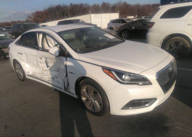 KMHE54L20HA049583 2017 HYUNDAI SONATA PLUG-IN HYBRID