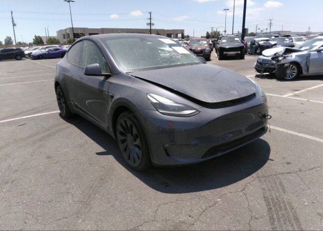 2023 TESLA MODEL Y (VIN: 7SAYGDEF7PF646699)
