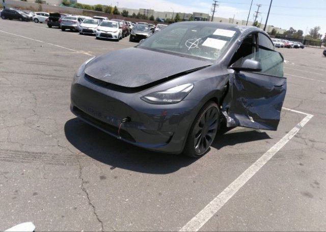 2023 TESLA MODEL Y(VIN: 7SAYGDEF7PF646699