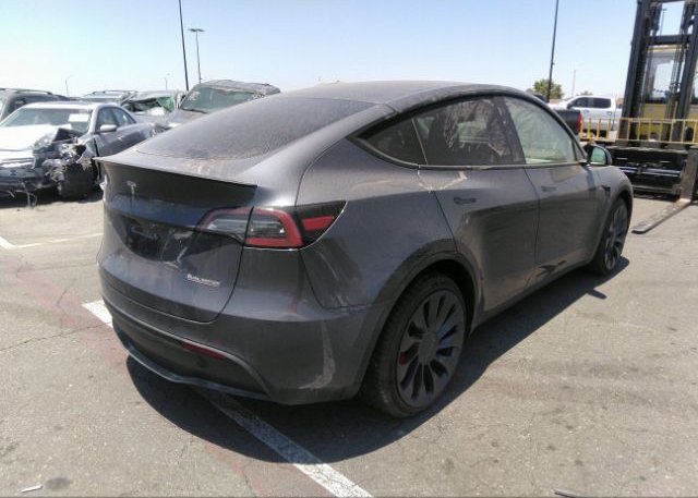 2023 TESLA MODEL Y(VIN: 7SAYGDEF7PF646699