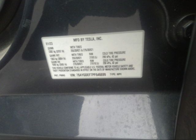 2023 TESLA MODEL Y(VIN: 7SAYGDEF7PF646699