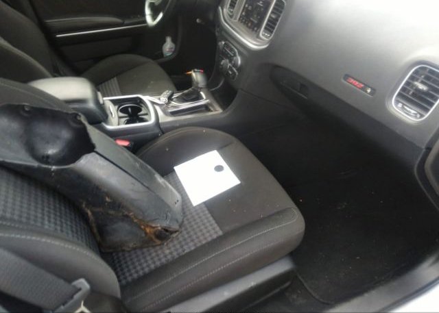2021 DODGE CHARGER(VIN: 2C3CDXGJ7MH553808