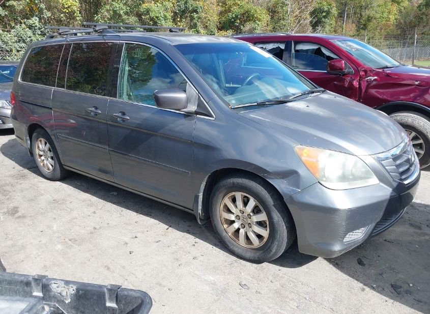 2010 HONDA ODYSSEY EX-L photo