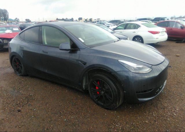 2022 TESLA MODEL Y (VIN: 7SAYGDEF2NF561007)