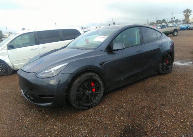 2022 TESLA MODEL Y(VIN: 7SAYGDEF2NF561007