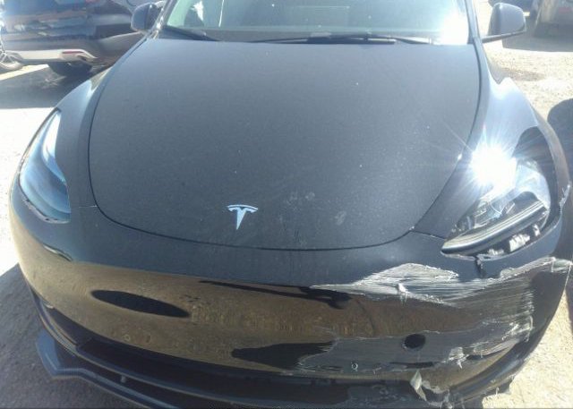 2022 TESLA MODEL Y(VIN: 7SAYGAEE5NF556678