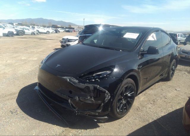 2022 TESLA MODEL Y(VIN: 7SAYGAEE5NF556678