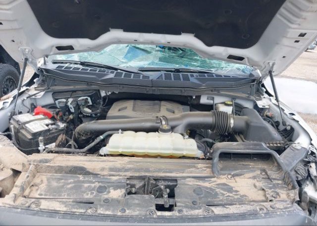 2021 FORD F-150(VIN: 1FTFW1E86MFB16643