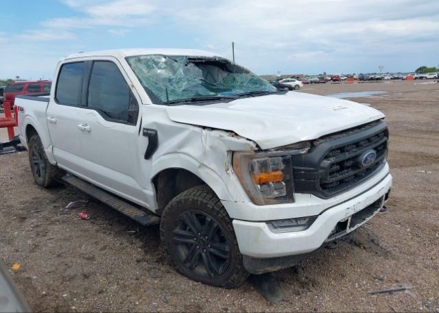 2021 FORD F-150 (VIN: 1FTFW1E86MFB16643)