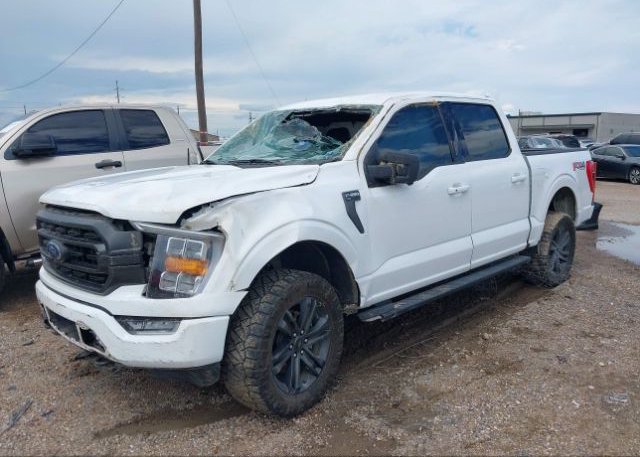 2021 FORD F-150(VIN: 1FTFW1E86MFB16643