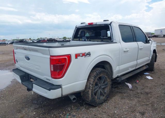 2021 FORD F-150(VIN: 1FTFW1E86MFB16643