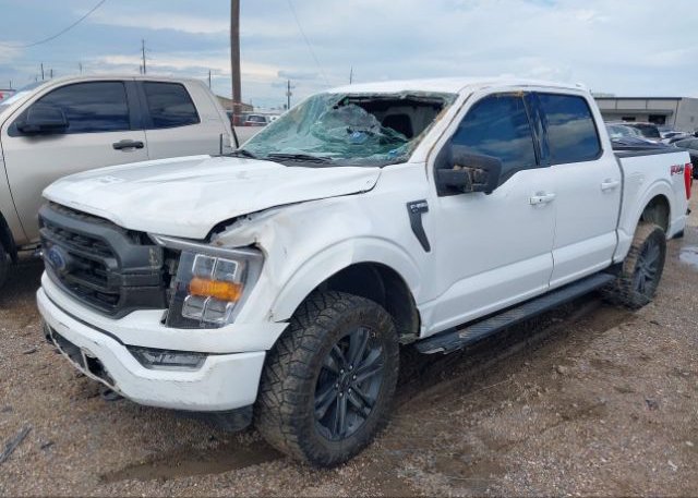 2021 FORD F-150(VIN: 1FTFW1E86MFB16643