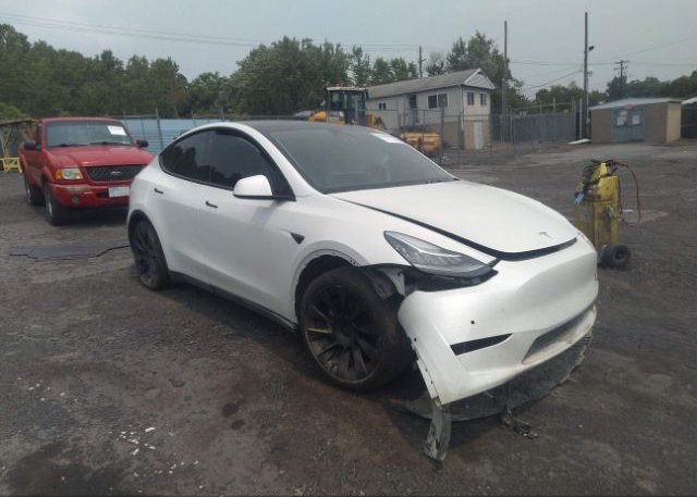 2022 TESLA MODEL Y (VIN: 7SAYGDEE5NF371645)
