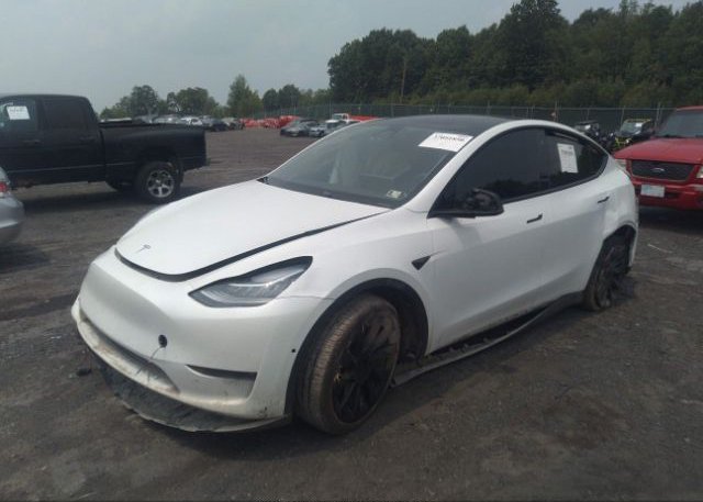 2022 TESLA MODEL Y(VIN: 7SAYGDEE5NF371645