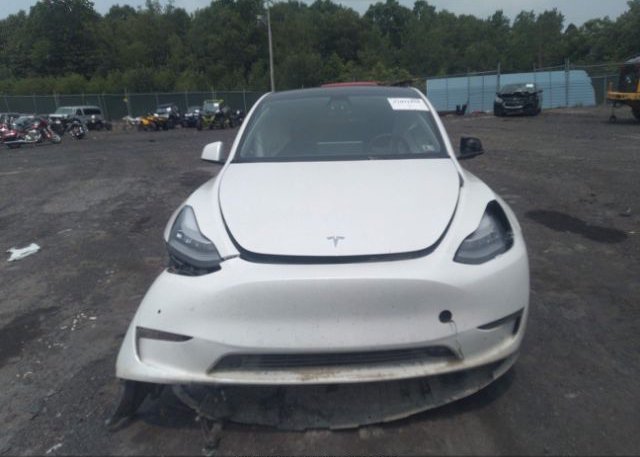 2022 TESLA MODEL Y(VIN: 7SAYGDEE5NF371645