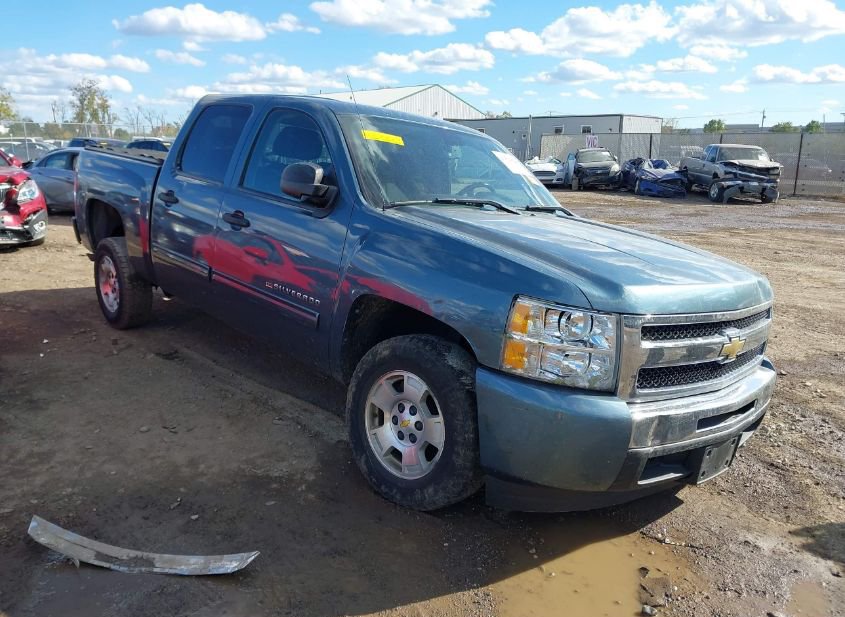 2010 CHEVROLET SILVERADO 1500 XTRA FUEL ECONOMY photo