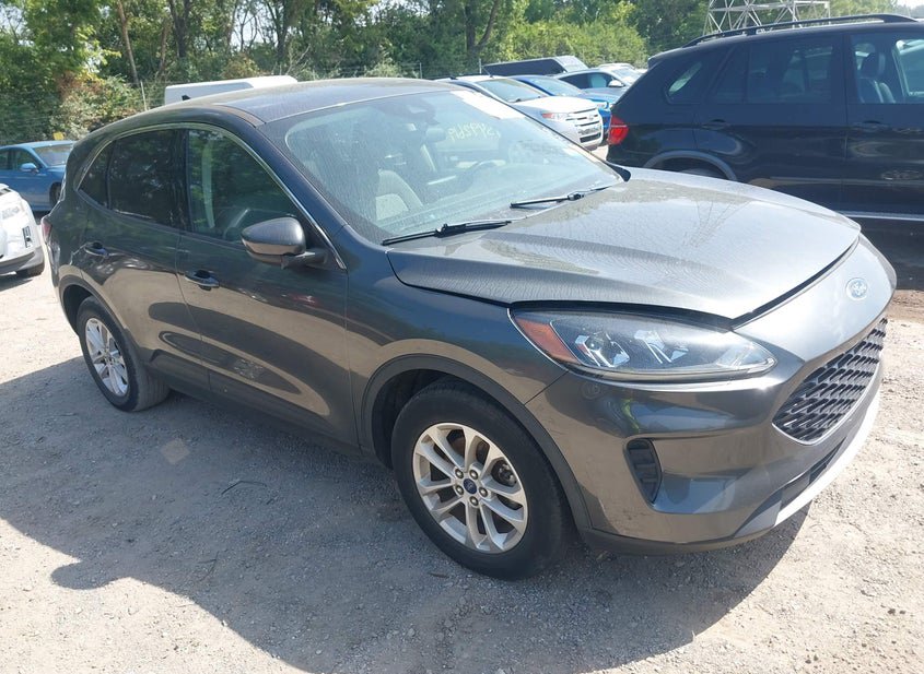 2020 Ford Escape 1.5L photo