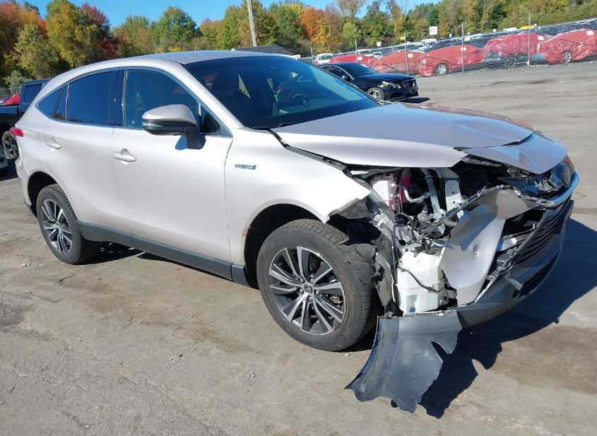 2021 TOYOTA VENZA LE photo